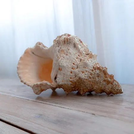 A Nouste A Ferienhaus Arcachon