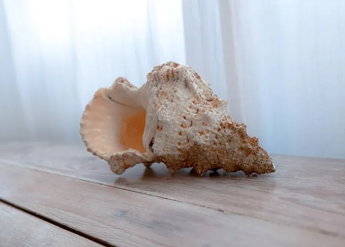 A Nouste A Feriehus Arcachon